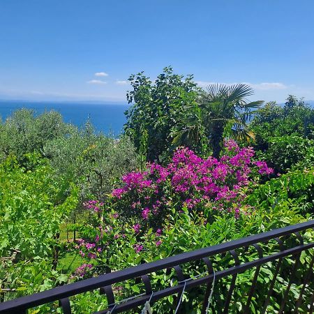 Apartment Camelia Opatija Exterior foto