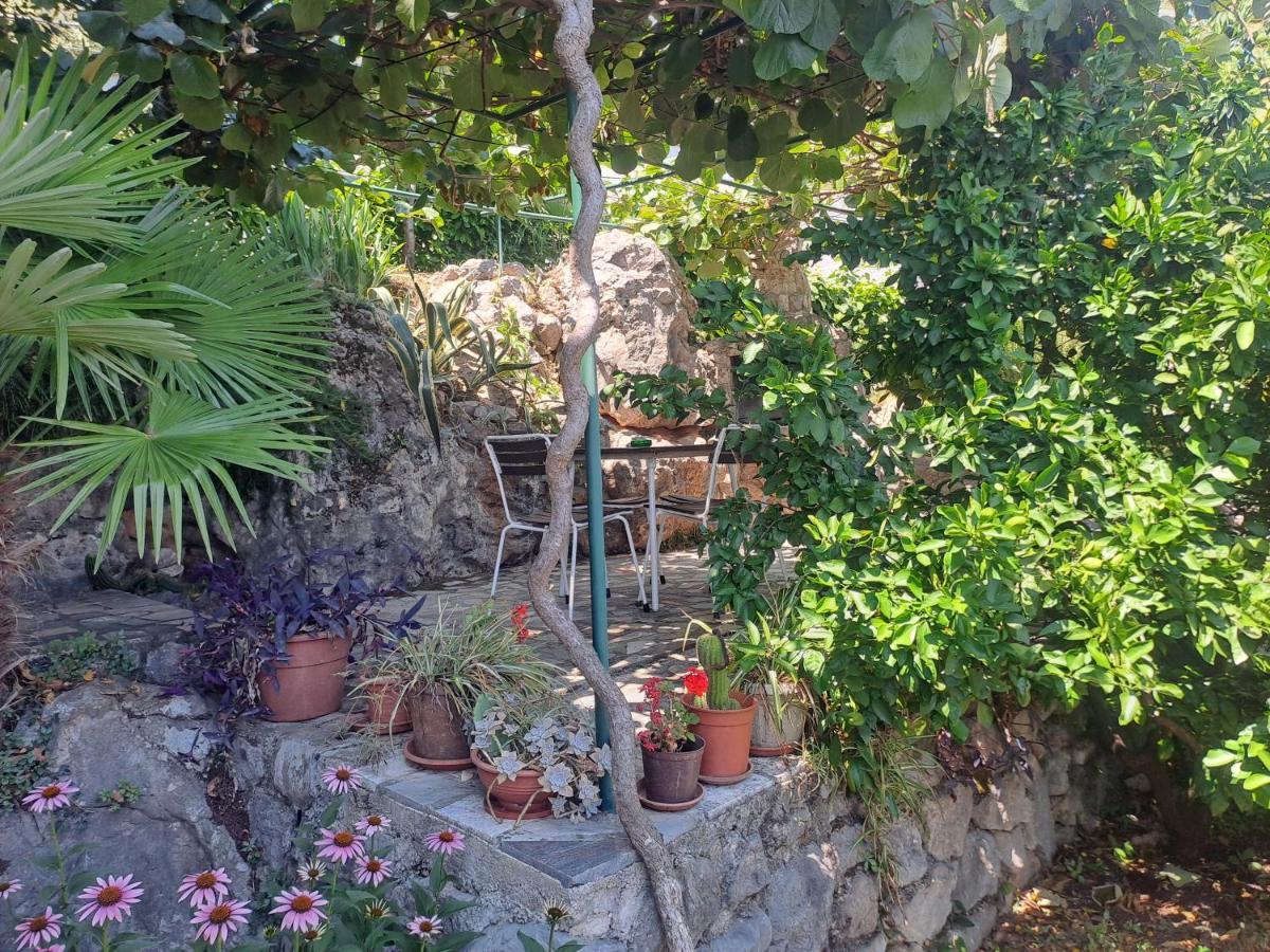 Apartment Camelia Opatija Exterior foto